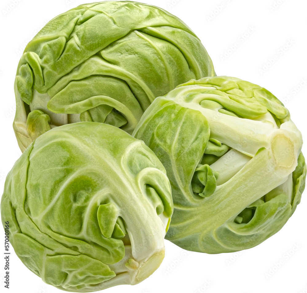 Brussels sprouts isolated