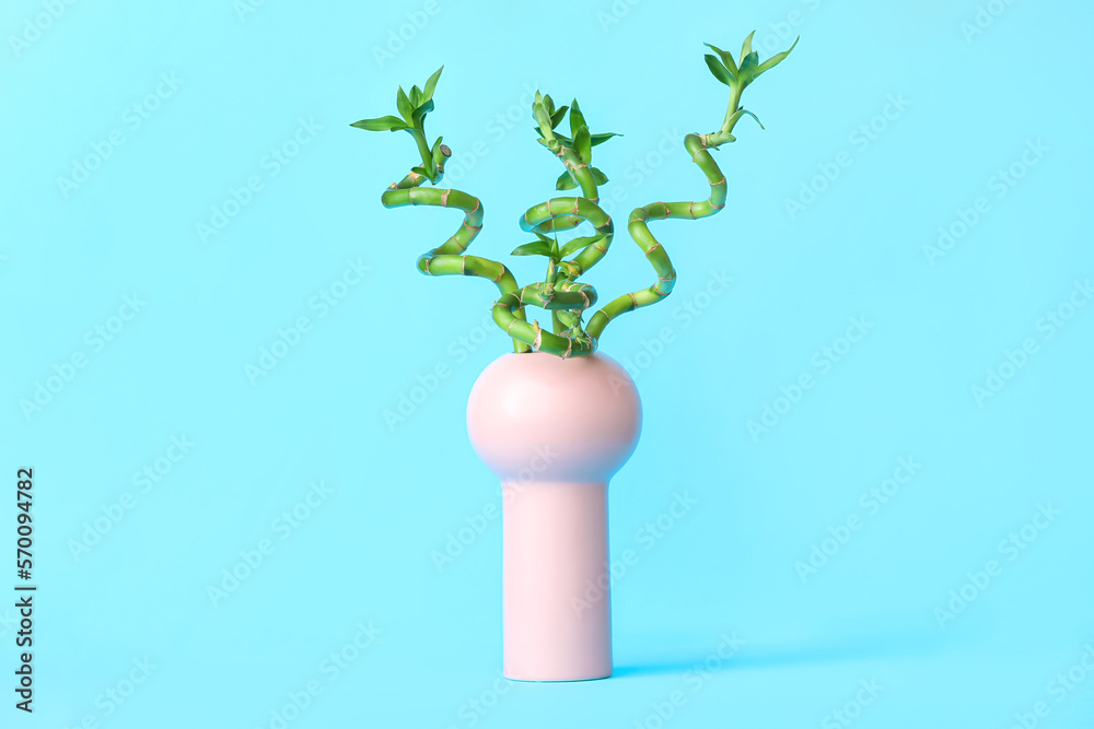 Stylish vase with bamboo stems on color background