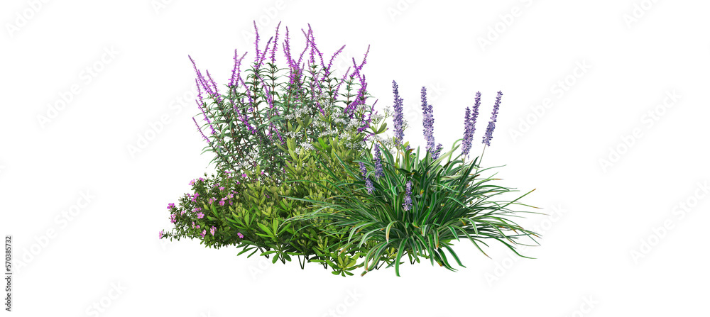 A garden decorated with flowers and small grass on a transparent background.