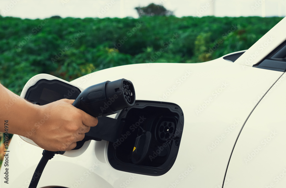 Progressive natural scenic where hand insert charging plug to electric vehicle from charging station