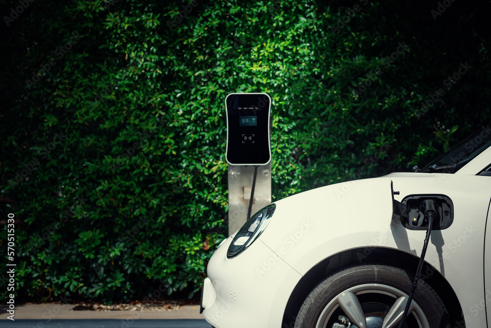 Side view of progressive electric vehicle parking next to public charging station with greenery, nat