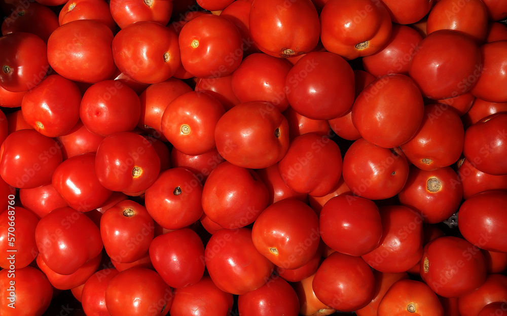 Group of red tomato background texture.