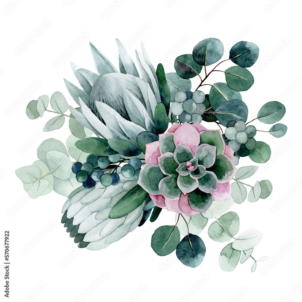 watercolor drawing. bouquet, composition with tropical flowers and leaves. Protea flowers and eucaly