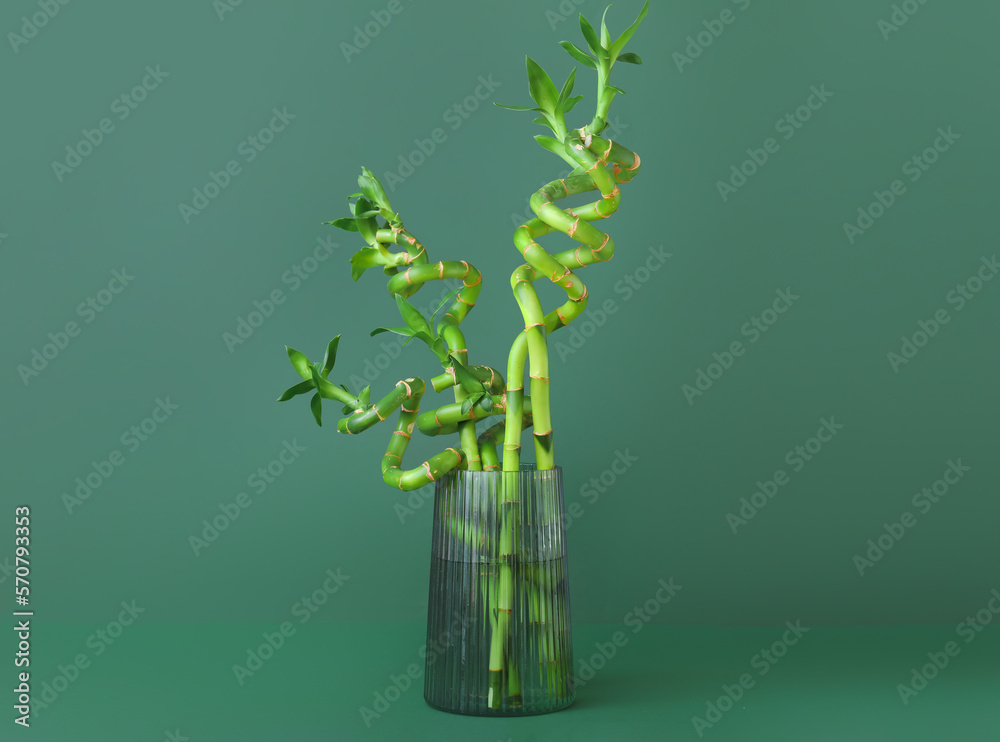 Vase with fresh bamboo branches on green background