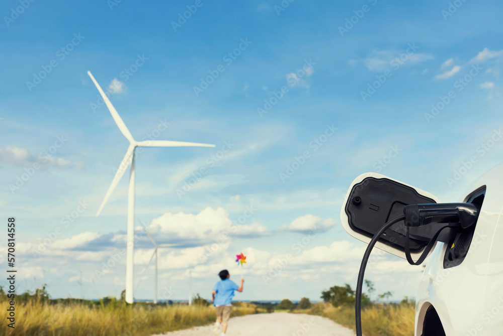 Progressive young asian boy playing with wind pinwheel toy in the wind turbine farm, green field ove