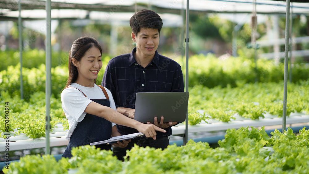 Modern hydroponic farm concept. Young adult farmers working together in green salad farm with laptop