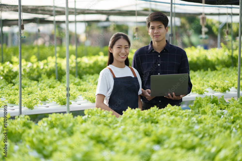 Modern hydroponic farm concept. Young adult farmers working together in green salad farm with laptop