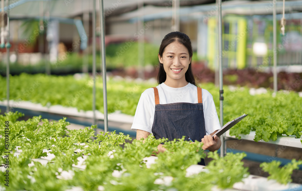 Young adorable Asian farmer working in hydroponic, checking and inspecting the quality of the salad.