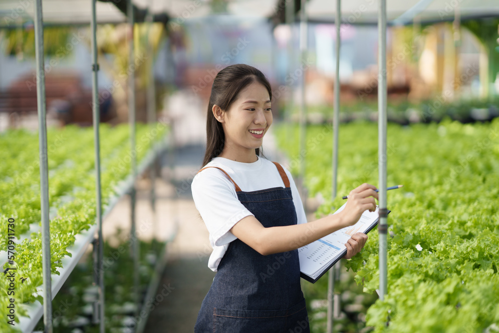 Adorable Asian farm worker checking the salad in the hydroponic farm while holding document, clippin