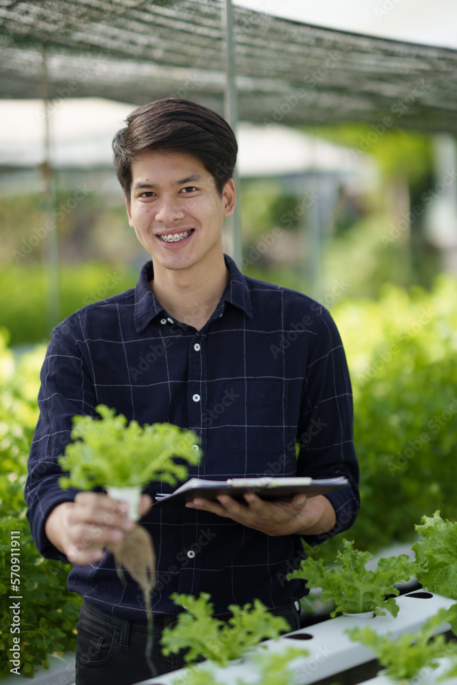 Hydroponic green vegetable farm concept. Young male farmer picking up the salad to check the quality