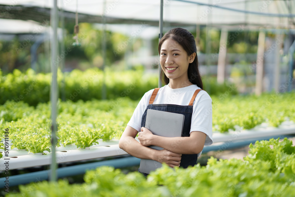 Moder young Asian farm worker using laptop computer while working in the graan salad hydroponic farm