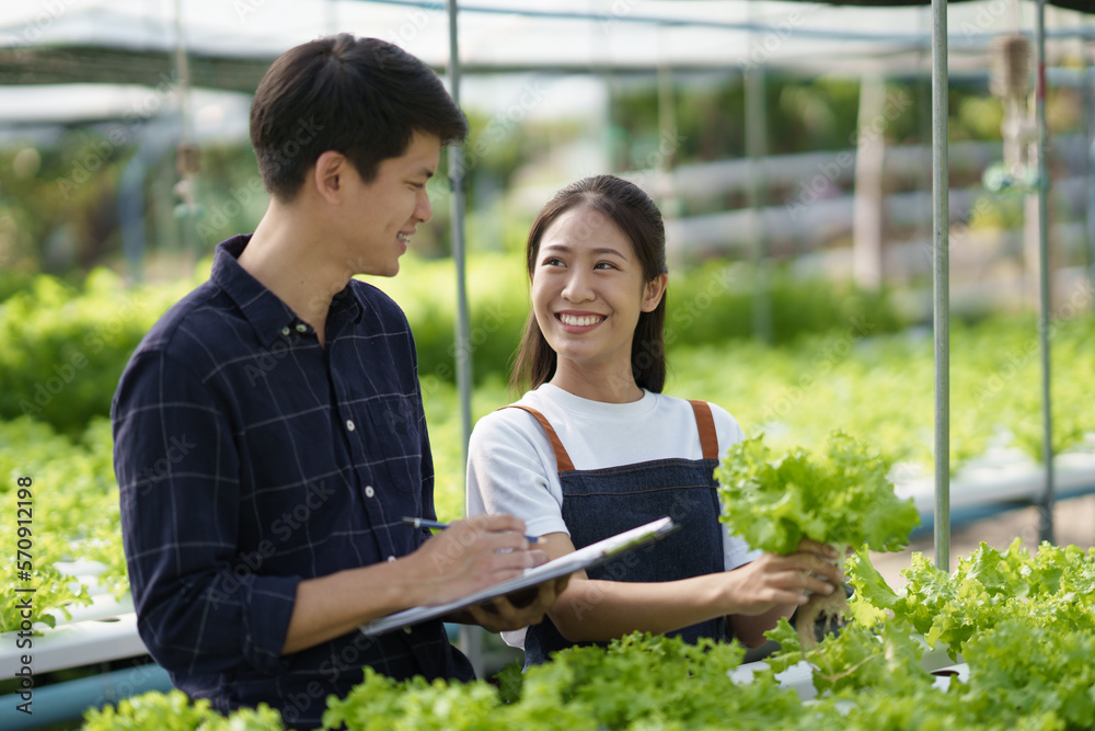 Young modern Asian farmer working at the hydroponic farm, smiling, enjoy working together. hydroponi