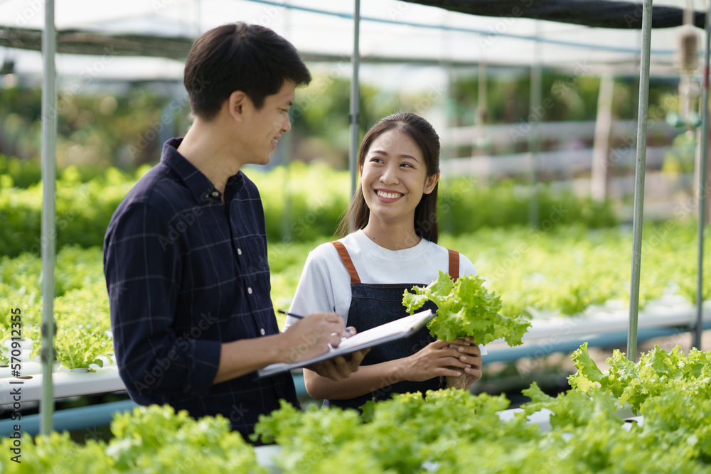 Group of teenage farmer working on an organic farm in a greenhouse. hydroponic farm concept..