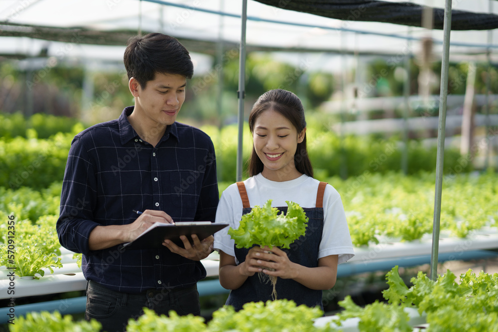 Group of teenage farmer working on an organic farm in a greenhouse. hydroponic farm concept..