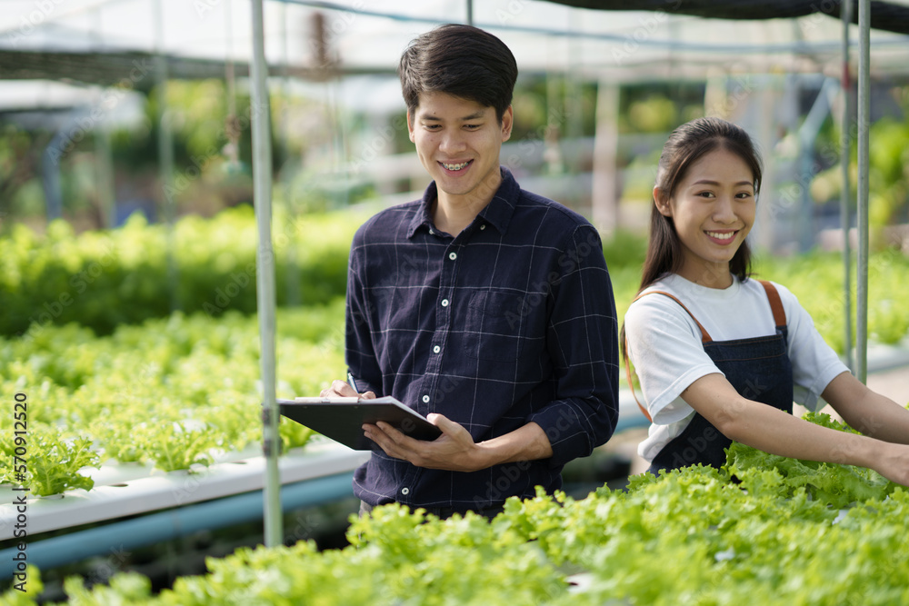 Young Asian workers checking quality of organic vegetables. Hydroponics farm organic fresh harvested