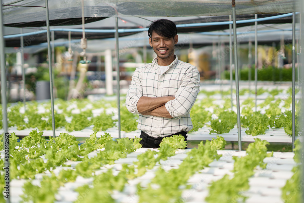 Portrait of young handsome Asian farmer standing in the green salad hydroponic farm with confident.