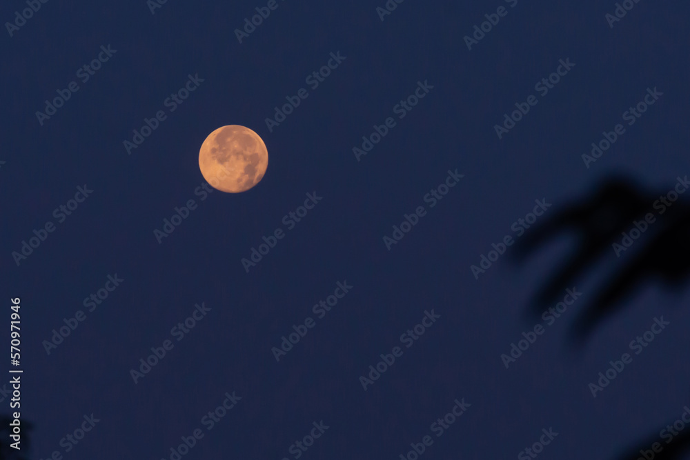  moon on dark blue night sky background, starry universe, nebula and galaxies with noise and grainy,