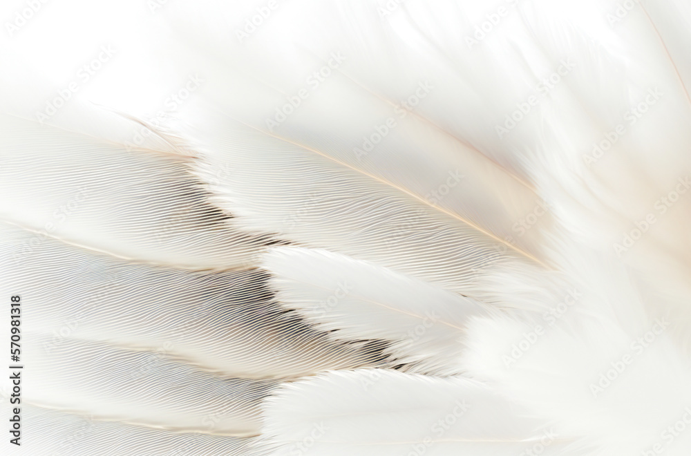 White soft feathers background. Purity concept. Created with Generative AI technology.