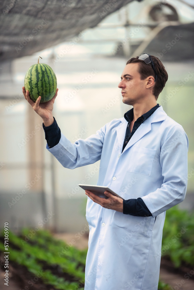 Portrait of handsome agricultural researcher holding tablet while working on research at plantation 