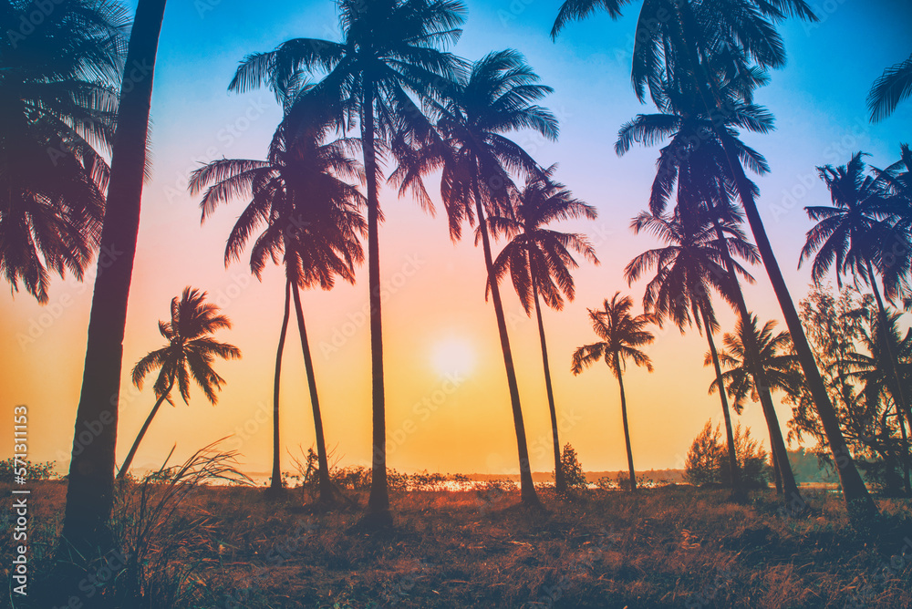 Silhouette coconut palm trees on beach at sunset. Vintage tone.