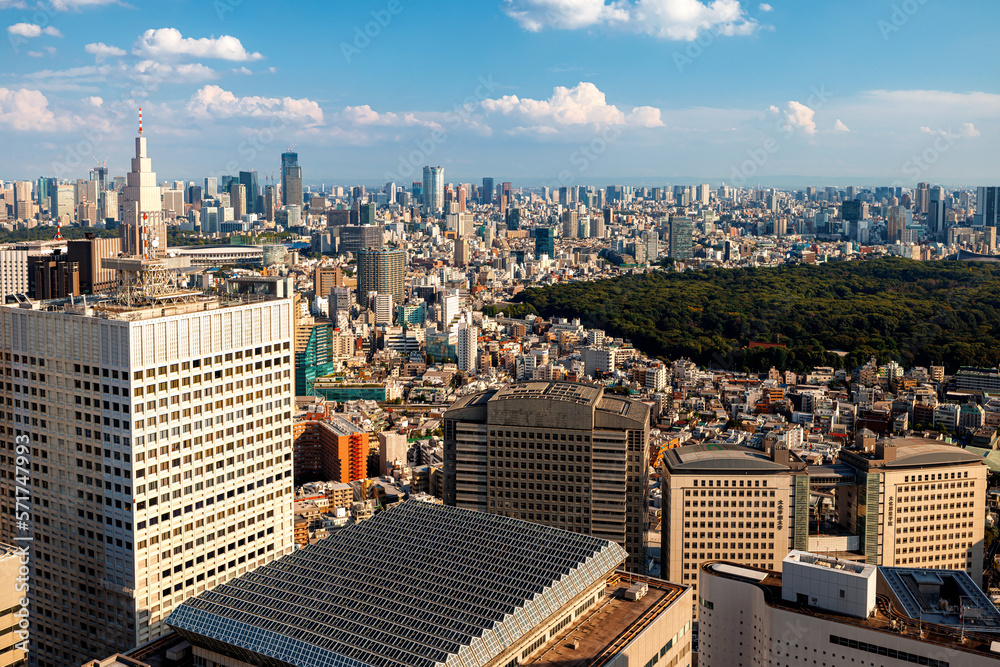 Skyscrapers towering above the cityscape of Nishi-Shinjuku, Tokyo, Japan