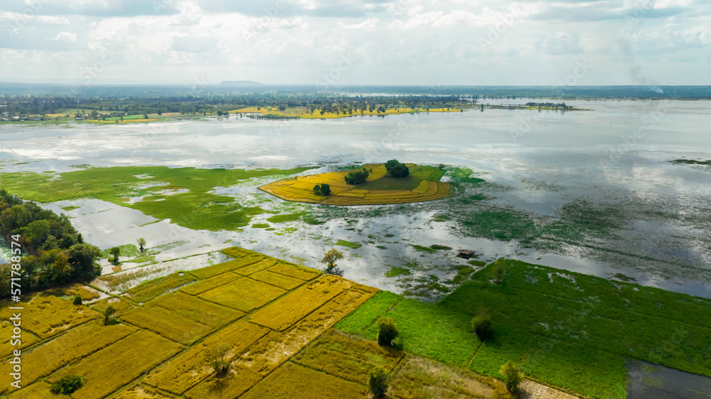 Natural water reservoir. Water sustainability. Landscape of green grass field and rice farm. Fresh w