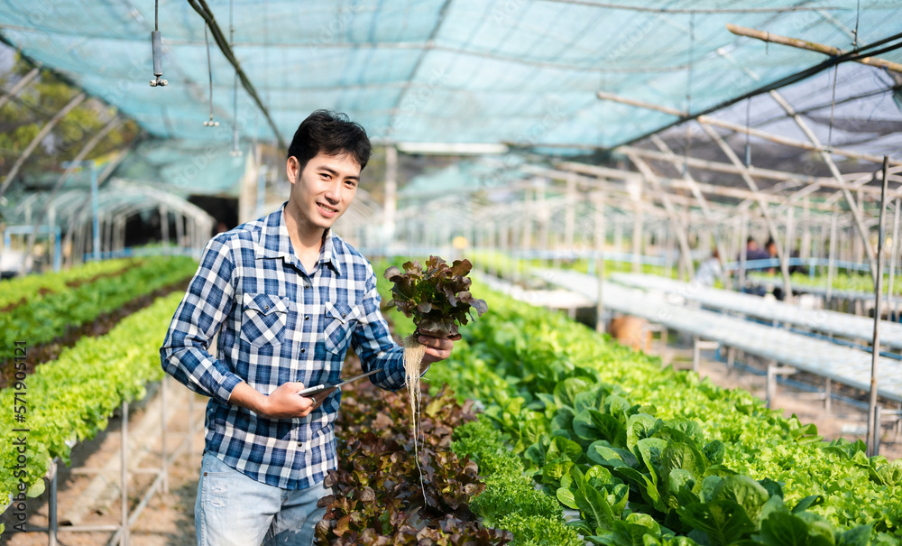 Asian man farmer looking organic vegetables and holding tablet, laptop for checking orders or qualit