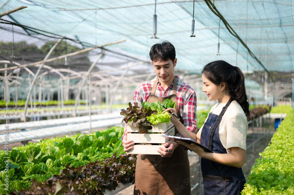 Asian farmer using hand holding tablet and organic vegetables hydroponic in greenhouse plantation. F