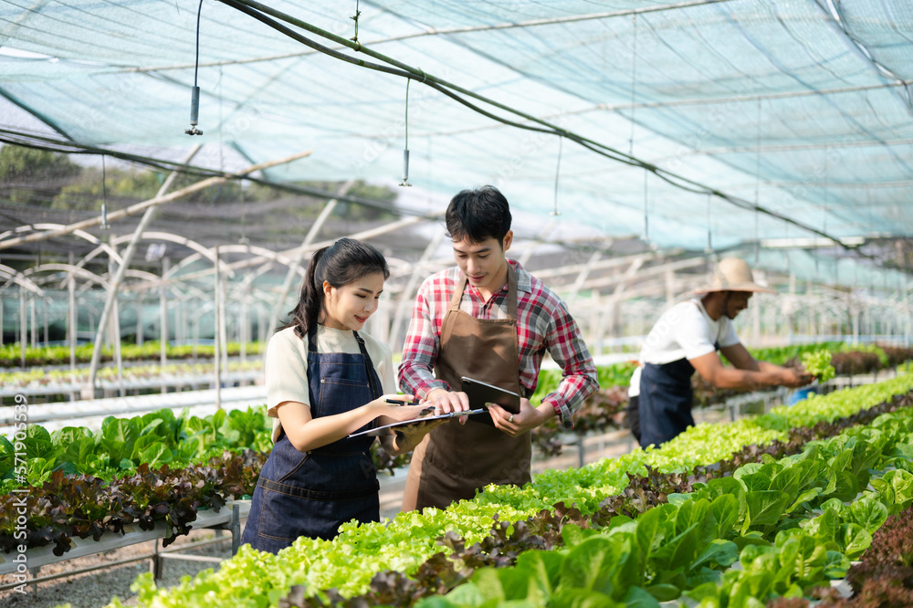 Asian farmer using hand holding tablet and organic vegetables hydroponic in greenhouse plantation. F