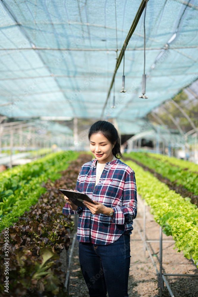 Asian couple of farmers inspects plants with a digital tablet In a greenhouse plantation. Smart farm