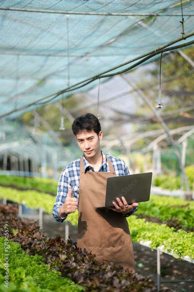 Asian man farmer looking organic vegetables and holding tablet, laptop for checking orders or qualit