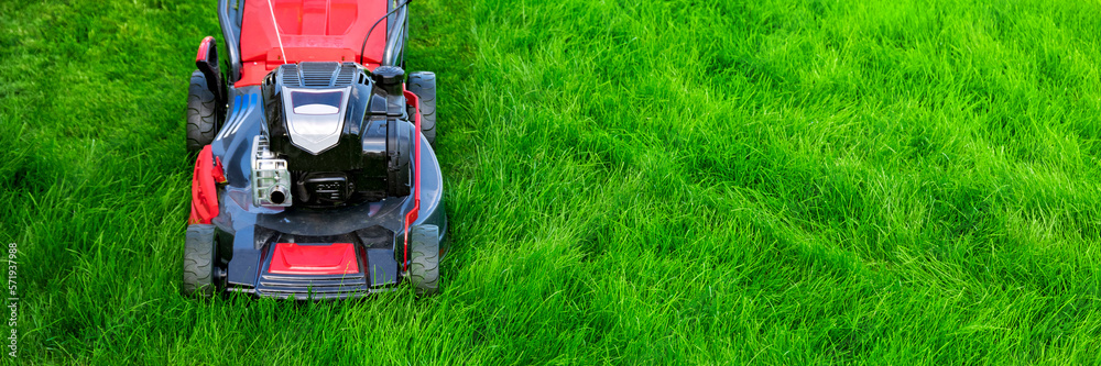 Lawn mower cutting green grass in backyard, mowing lawn