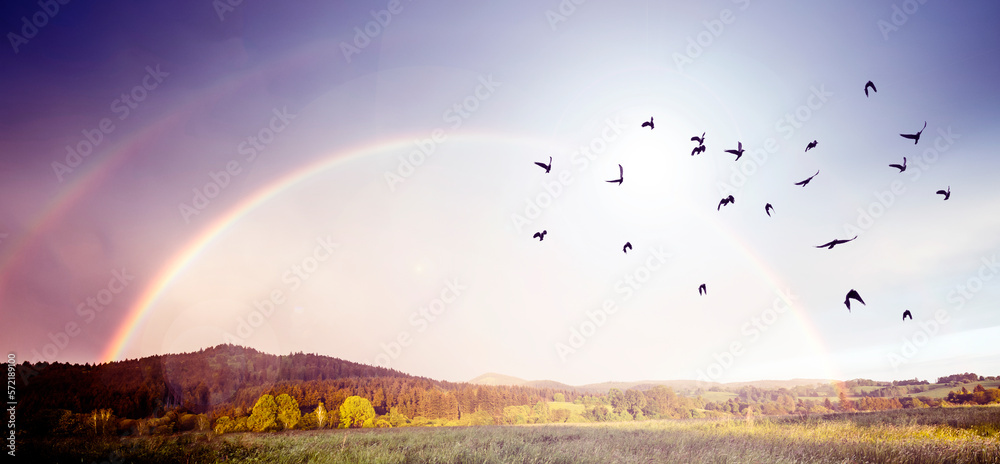 rainbow after storm