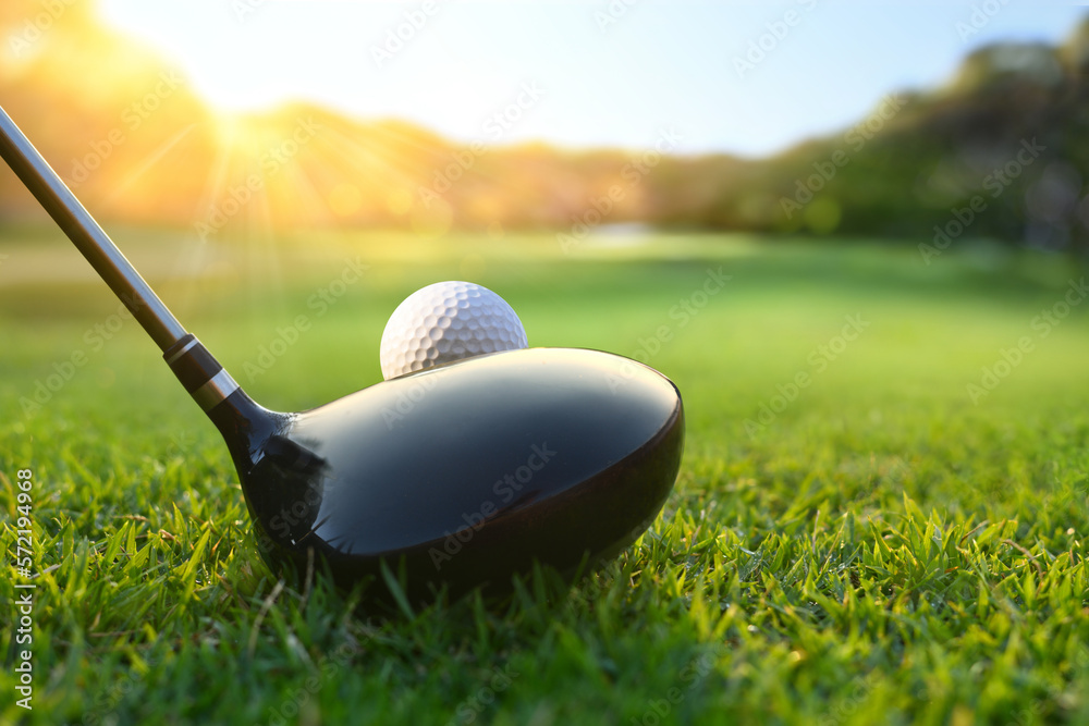 Back view of  golf ball on tee with golf drivers at golf course.