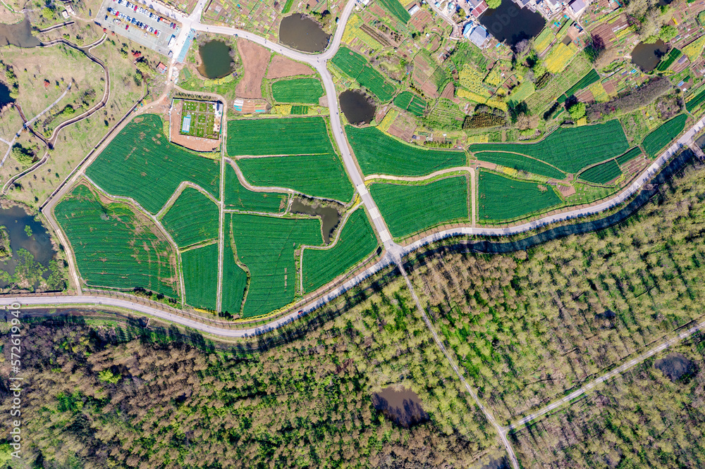 Aerial photography of green farmland