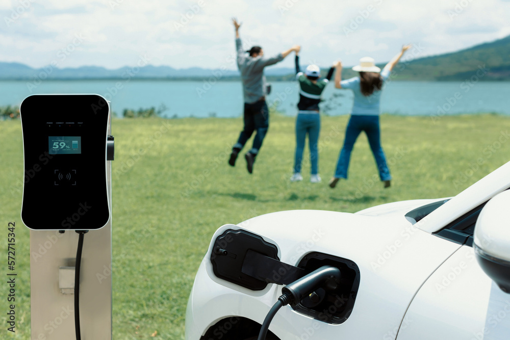 Concept of progressive happy family enjoying their time at green field and lake with electric vehicl