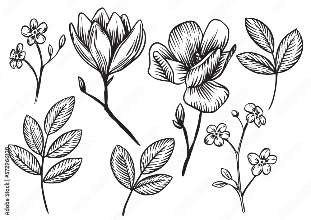 vector drawing. set of flowers and leaves in vintage style. sketch, graphics.