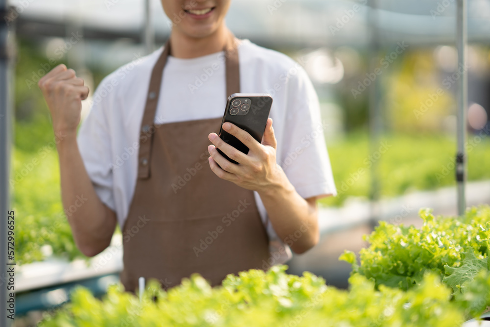 Young male famer using his mobile phone while working in the green vegtable hydroponics farm.