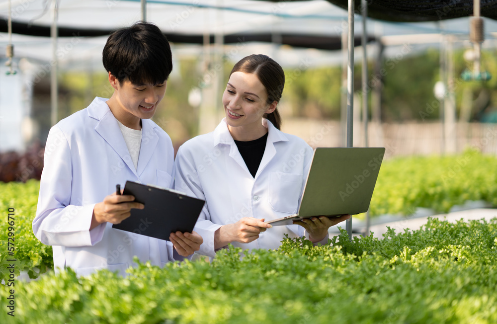 Hydroponics farm concept, Scientist team testing and collect data from lettuce organic hydroponic. F