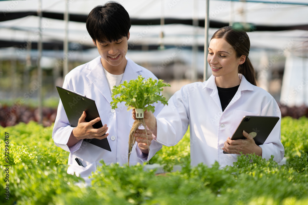 Hydroponics farm concept, Scientist team testing and collect data from lettuce organic hydroponic. F