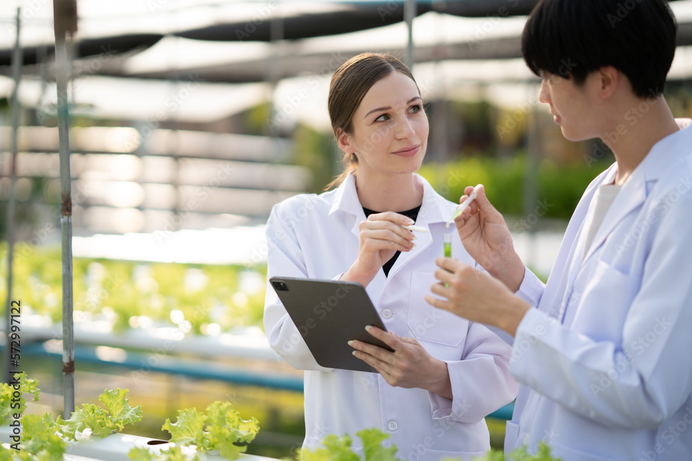 Young expert scientist team working together, discussing and checking the quality of the hydroponics