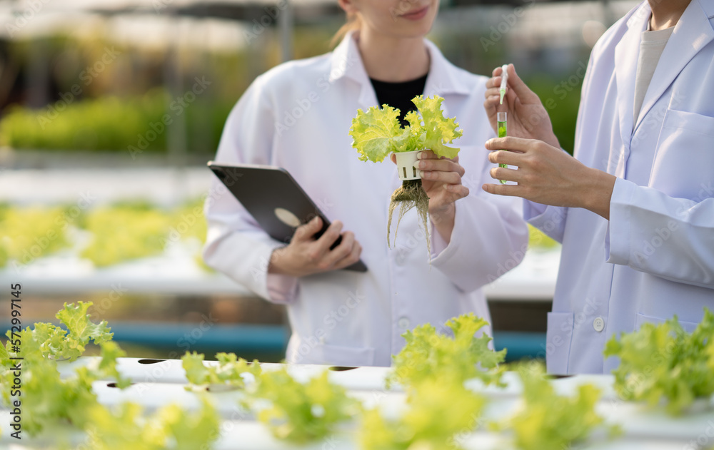 Young expert scientist team working together, discussing and checking the quality of the hydroponics