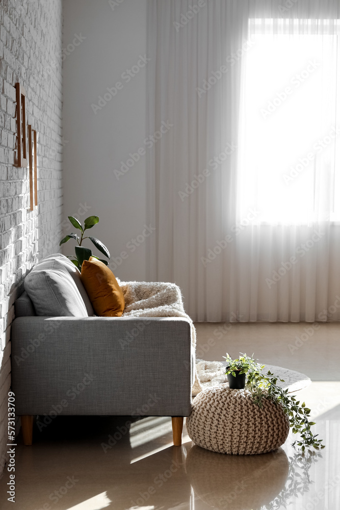 Interior of living room with grey couch and houseplants