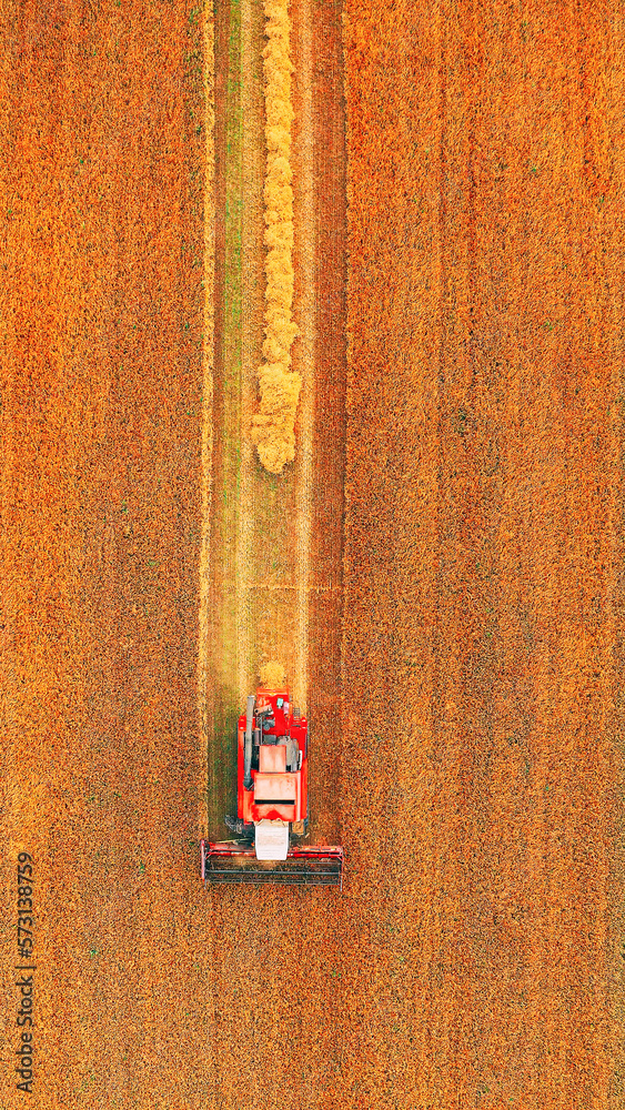 Flat Elevated View Of Rural Landscape With Working Combine Harvester In Wheat Field, Collects Seeds.