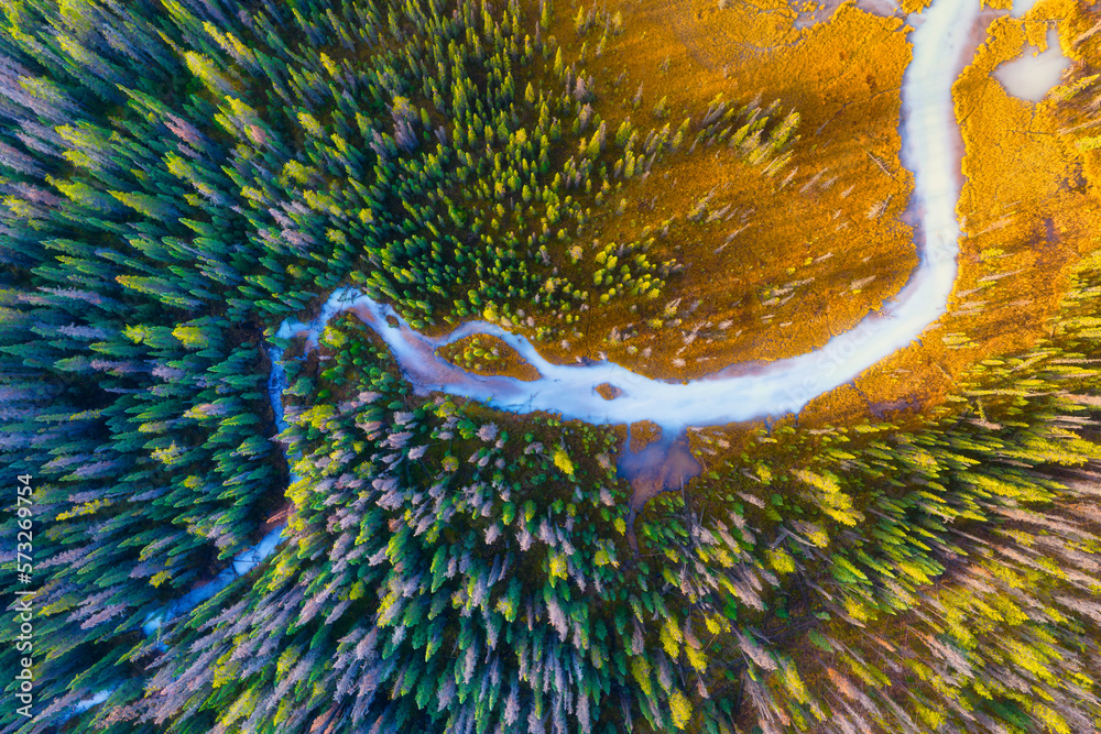 A drone view of the river in the woods. An aerial view of an autumn forest. Winding river among the 