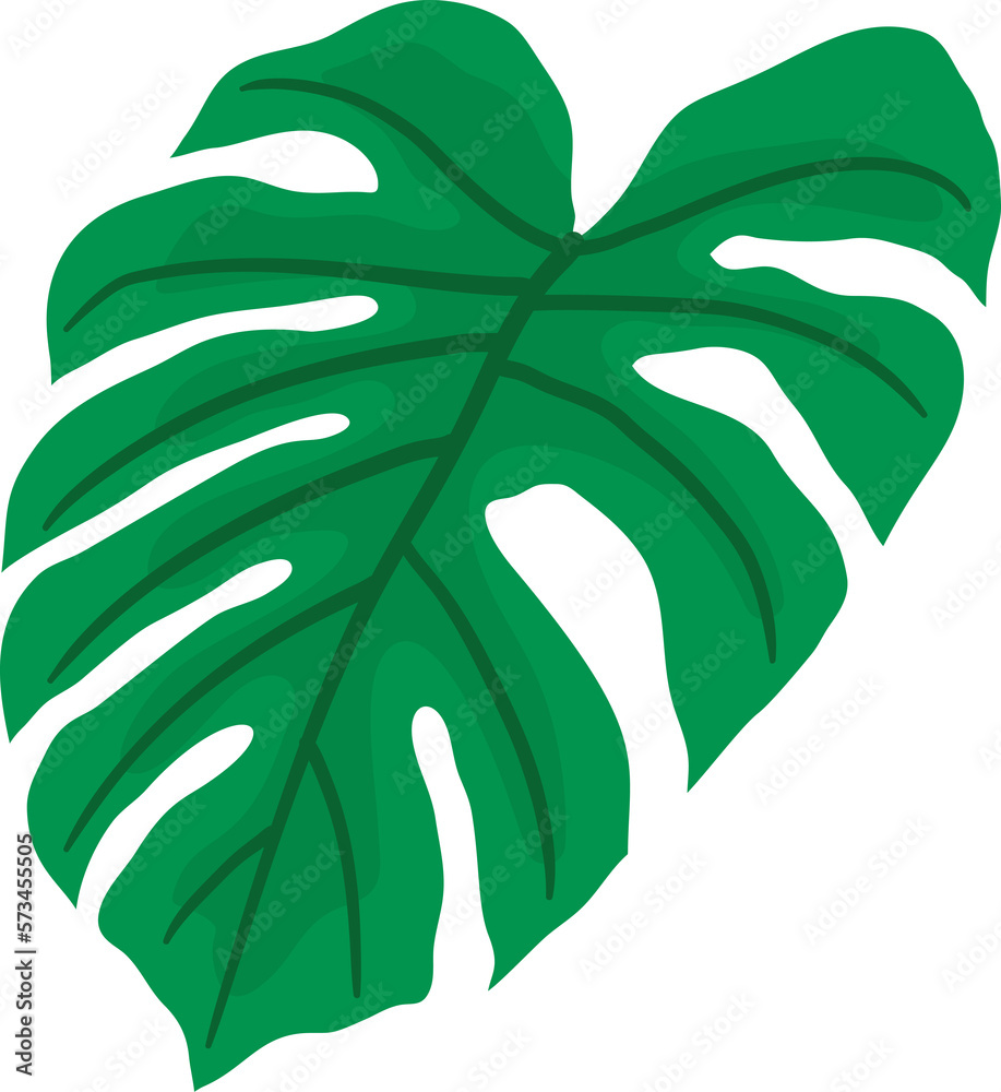 Tropical leaf vector