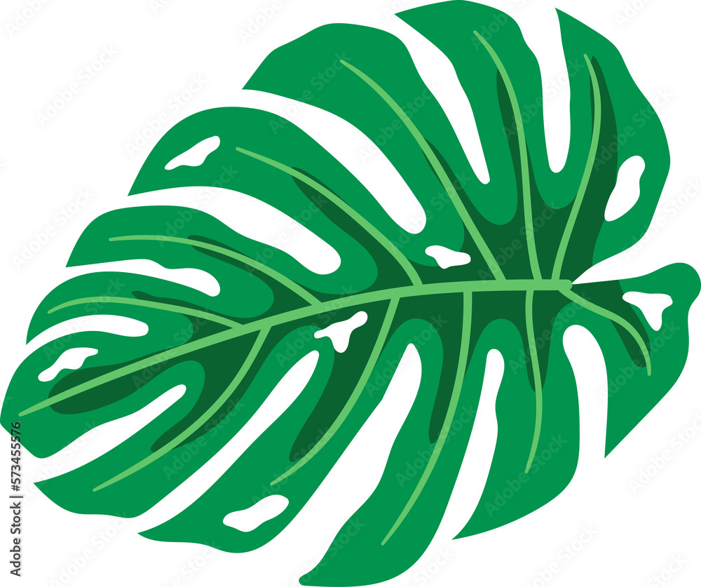 Tropical leaf vector