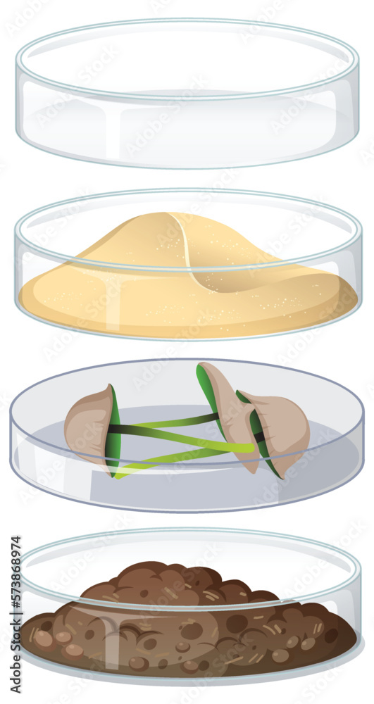 Set of object in petri dish for experiment