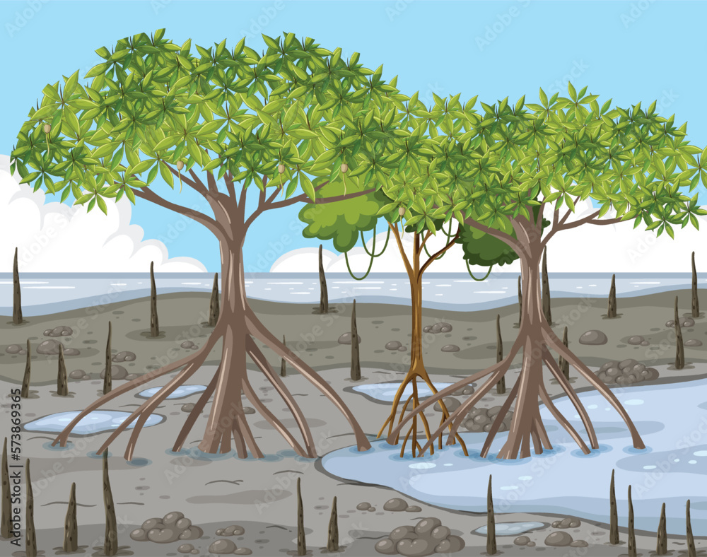 Mangrove forest landscape scene