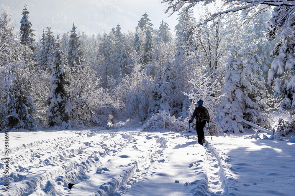 Man with a backpack and hiking poles hiking in snowy coniferous forest on Hala Slowianka in Beskid M